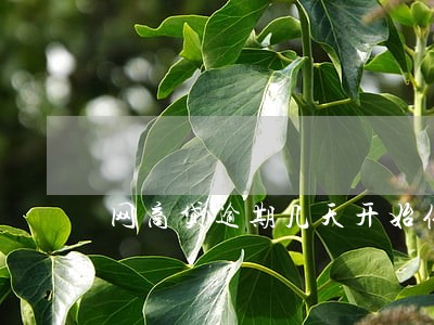 网商贷逾期几天开始催收 网商贷逾期几天开始催收