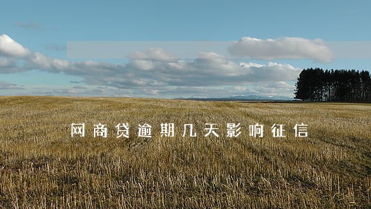 网商贷逾期几天影响征信 网商贷逾期几天影响征信