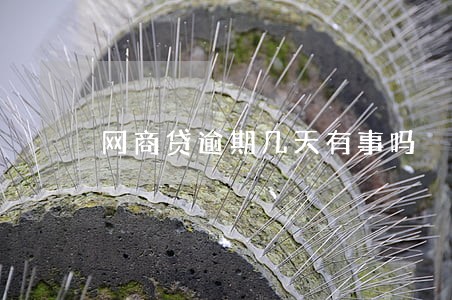 网商贷逾期几天有事吗 网商贷逾期几天有事吗