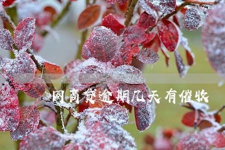 网商贷逾期几天有催收 网商贷逾期几天有催收