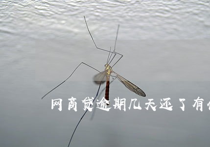 网商贷逾期几天还了有什么影响 网商贷逾期几天还了有什么影响