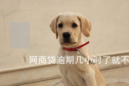 网商贷逾期几小时了就不能用了 网商贷逾期几小时了就不能用了