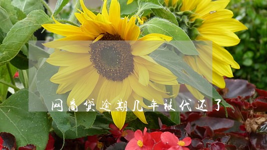 网商贷逾期几年被代还了 网商贷逾期几年被代还了