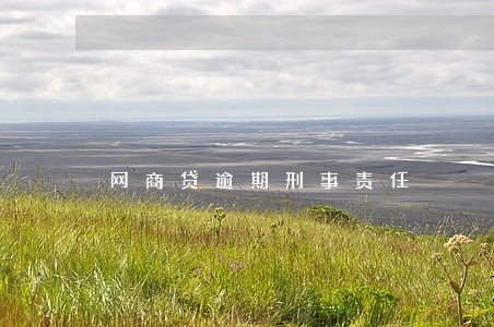网商贷逾期刑事责任