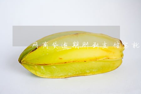 网商贷逾期刚到支付宝就扣款了 网商贷逾期刚到支付宝就扣款了
