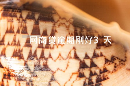 网商贷逾期刚好3天
