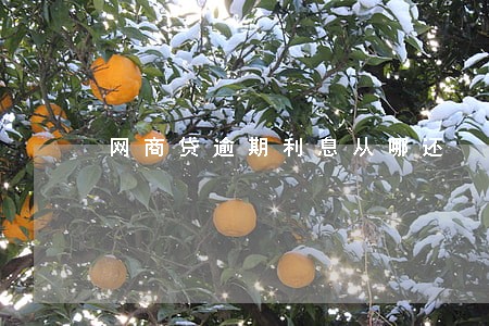 网商贷逾期利息从哪还 网商贷逾期利息从哪还