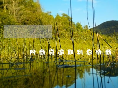 网商贷逾期利息协商