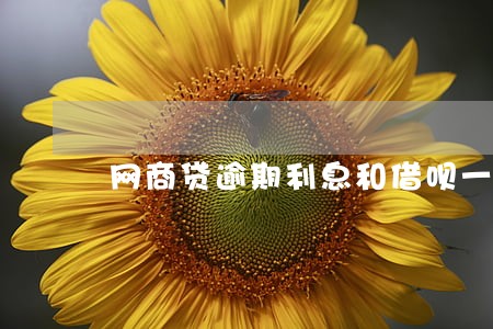 网商贷逾期利息和借呗一样吗 网商贷逾期利息和借呗一样吗