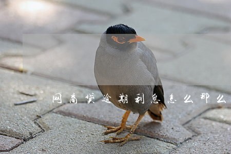 网商贷逾期利息怎么那么高