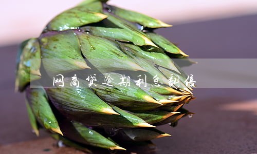 网商贷逾期利息翻倍 网商贷逾期利息翻倍