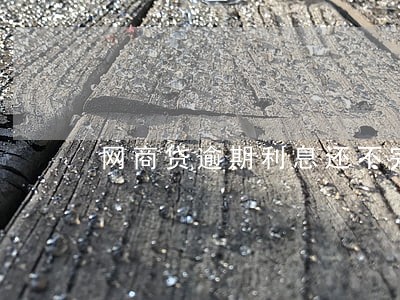 网商贷逾期利息还不完怎么办 网商贷逾期利息还不完怎么办