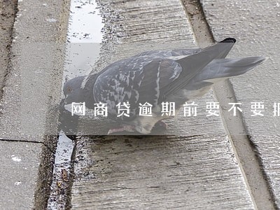 网商贷逾期前要不要报备 网商贷逾期前要不要报备