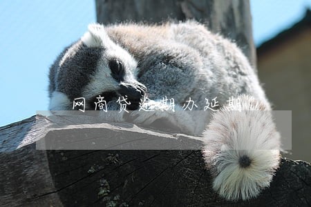 网商贷逾期办延期 网商贷逾期办延期