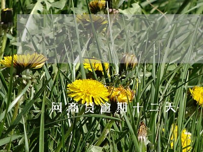网商贷逾期十二天 网商贷逾期十二天