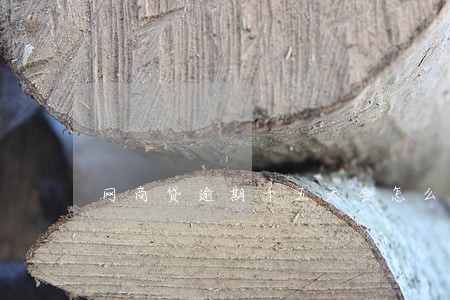 网商贷逾期十五天会怎么样 网商贷逾期十五天会怎么样