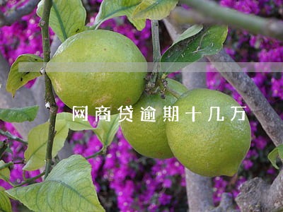 网商贷逾期十几万 网商贷逾期十几万