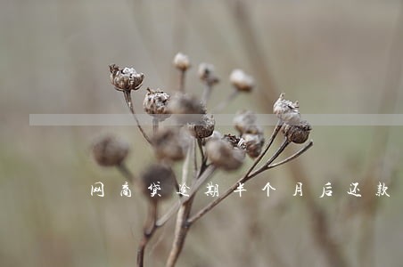 网商贷逾期半个月后还款 网商贷逾期半个月后还款