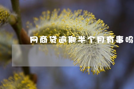网商贷逾期半个月有事吗