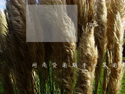 网商贷逾期半天算逾期吗 网商贷逾期半天算逾期吗