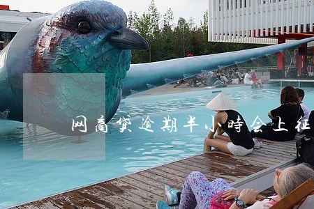 网商贷逾期半小时会上征信吗