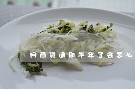网商贷逾期半年了会怎么样 网商贷逾期半年了会怎么样