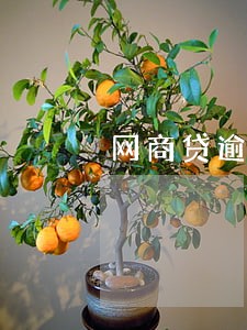 网商贷逾期半年支付分没有降 网商贷逾期半年支付分没有降