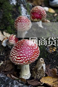 网商贷逾期半年没有联系我 网商贷逾期半年没有联系我