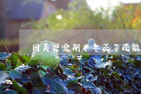 网商贷逾期半年还了还能借吗 网商贷逾期半年还了还能借吗