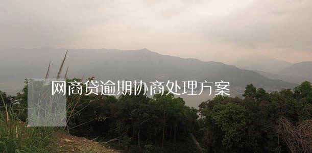 网商贷逾期协商处理方案 网商贷逾期协商处理方案