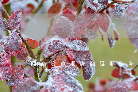 网商贷逾期协商延期5年 网商贷逾期协商延期5年