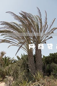 网商贷逾期协商还本金的技巧 网商贷逾期协商还本金的技巧
