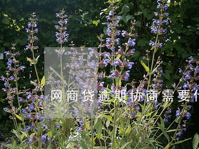 网商贷逾期协商需要什么证明 网商贷逾期协商需要什么证明