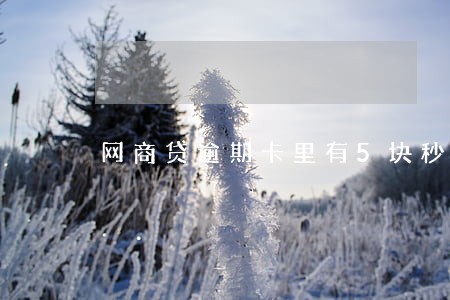 网商贷逾期卡里有5块秒扣吗 网商贷逾期卡里有5块秒扣吗
