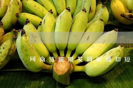 网商贷逾期发调解通知短信 网商贷逾期发调解通知短信
