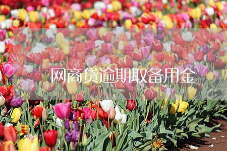 网商贷逾期取备用金 网商贷逾期取备用金
