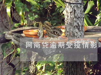 网商贷逾期受疫情影响 网商贷逾期受疫情影响