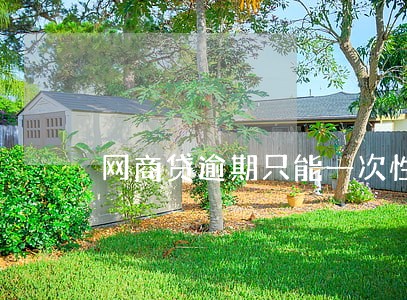 网商贷逾期只能一次性还款吗 网商贷逾期只能一次性还款吗