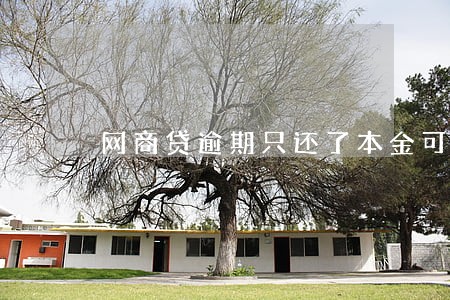 网商贷逾期只还了本金可以么