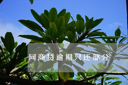 网商贷逾期只还部分 网商贷逾期只还部分