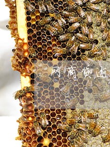 网商贷逾期可以减免利息还款吗 网商贷逾期可以减免利息还款吗