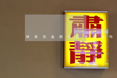 网商贷逾期可以分月还吗