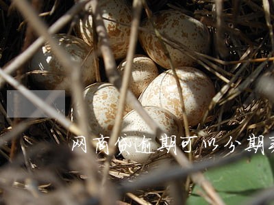 网商贷逾期可以分期买车吗 网商贷逾期可以分期买车吗