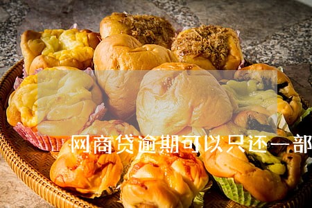网商贷逾期可以只还一部分吗 网商贷逾期可以只还一部分吗