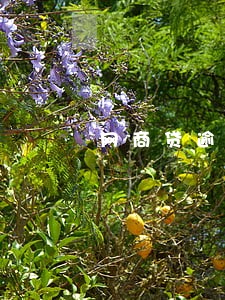 网商贷逾期可以商量免罚息吗 网商贷逾期可以商量免罚息吗