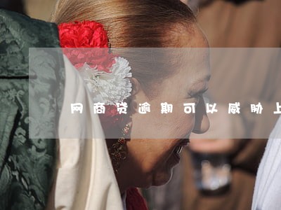 网商贷逾期可以威胁上门吗 网商贷逾期可以威胁上门吗