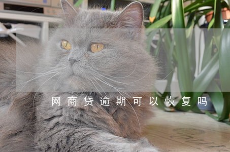 网商贷逾期可以恢复吗 网商贷逾期可以恢复吗