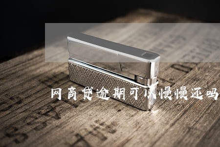 网商贷逾期可以慢慢还吗 网商贷逾期可以慢慢还吗