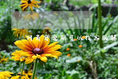 网商贷逾期可以找客服解开吗 网商贷逾期可以找客服解开吗
