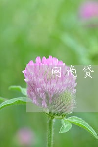 网商贷逾期可以脱好久 网商贷逾期可以脱好久